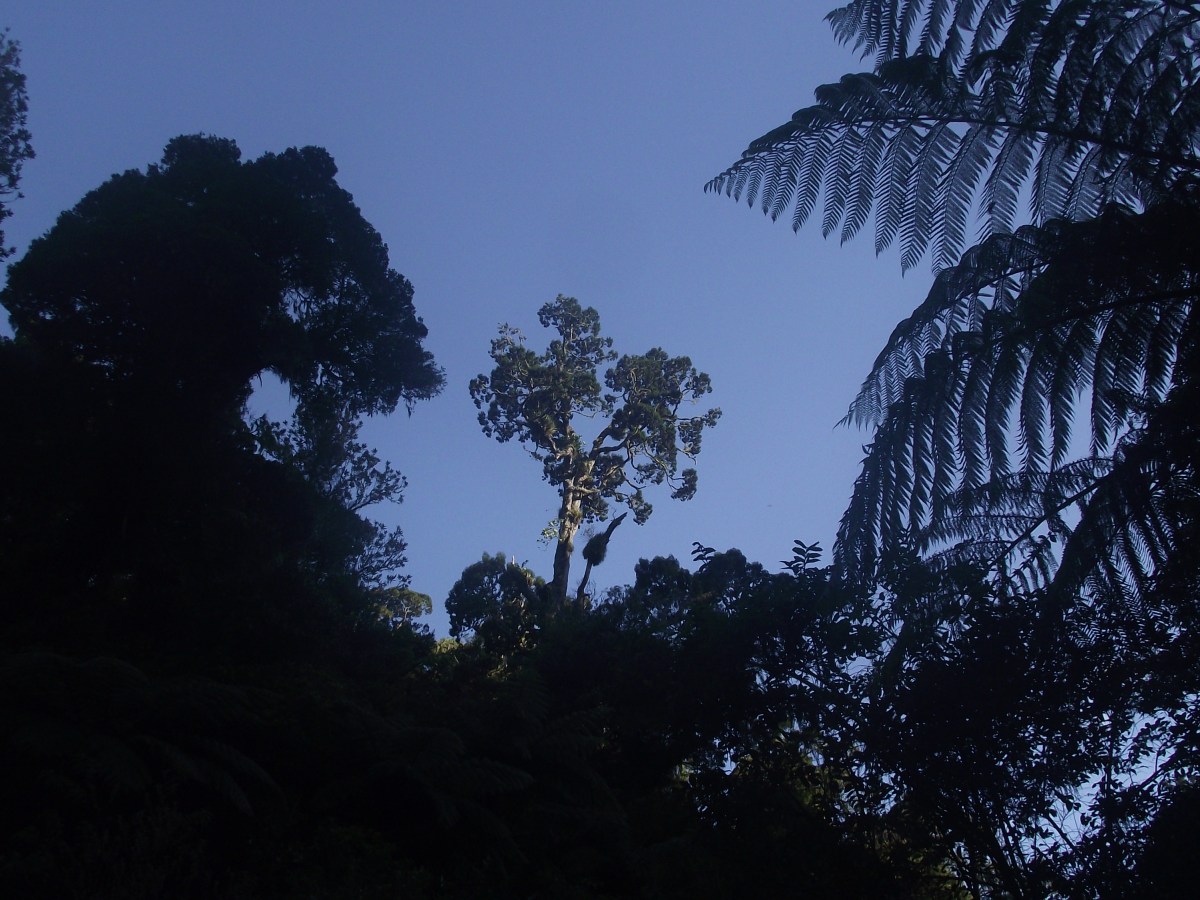 The Silence that isn’t&nbsp;Golden