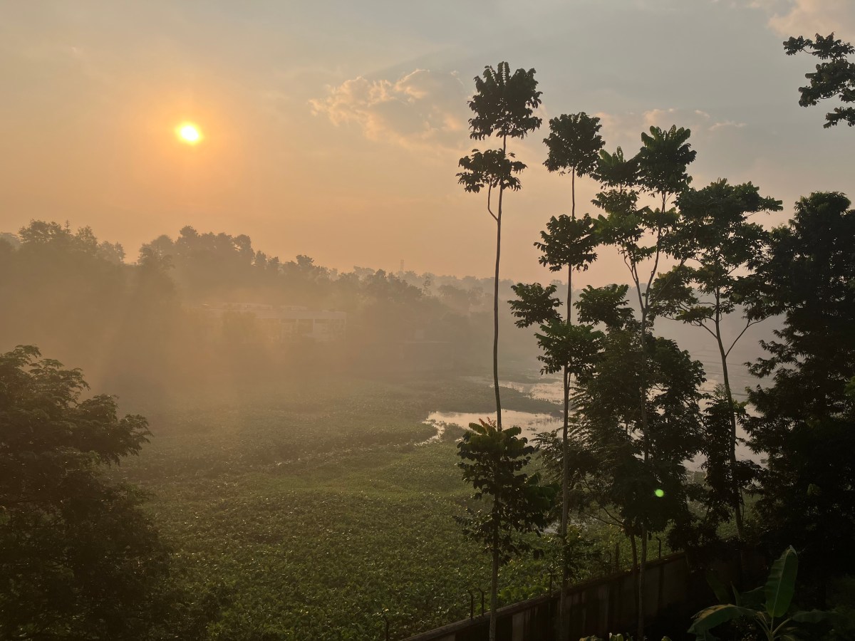 Privileged and Privileged